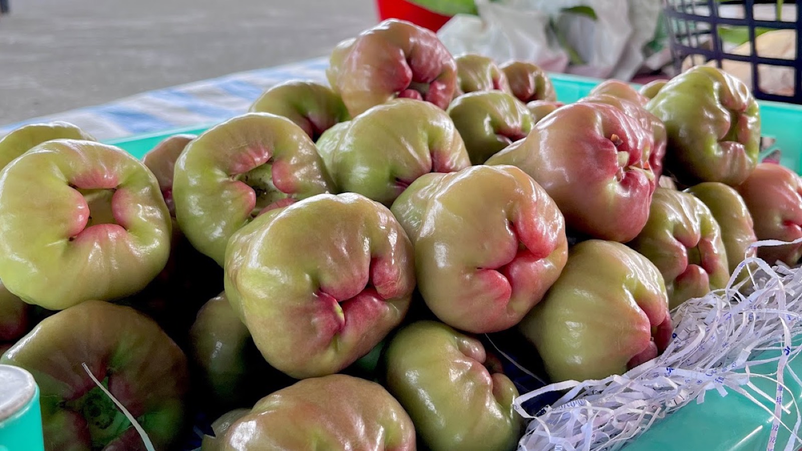 李家果園現採套袋蓮霧，堆滿竹籃